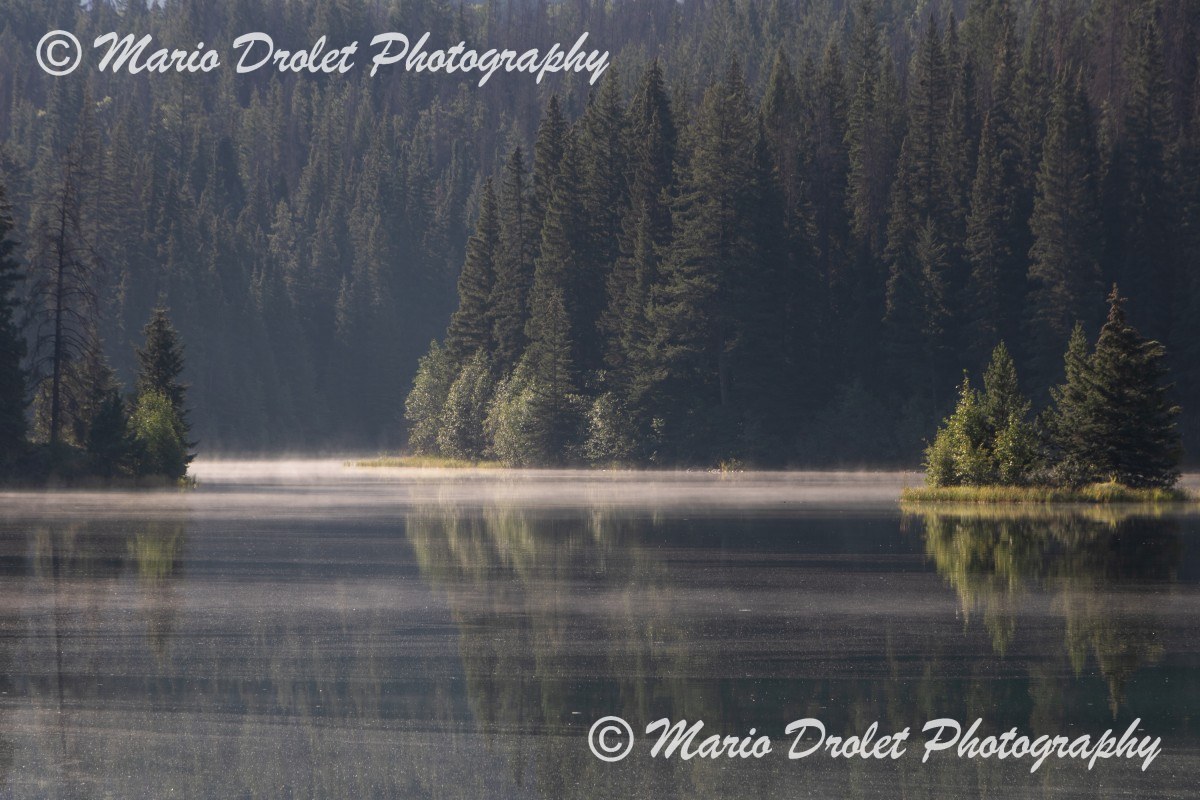Misty morning at Lake 5, Valley of Five Lakes, Jasper National Park, Alberta, Canada