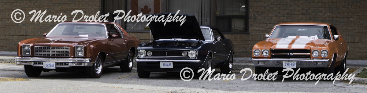 Panoramic photo of 3 muscle cars in colour