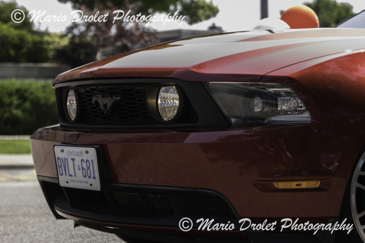 Ford Mustang Front End with Fog Lights On