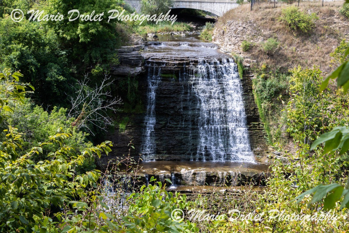Albion Falls in late summer