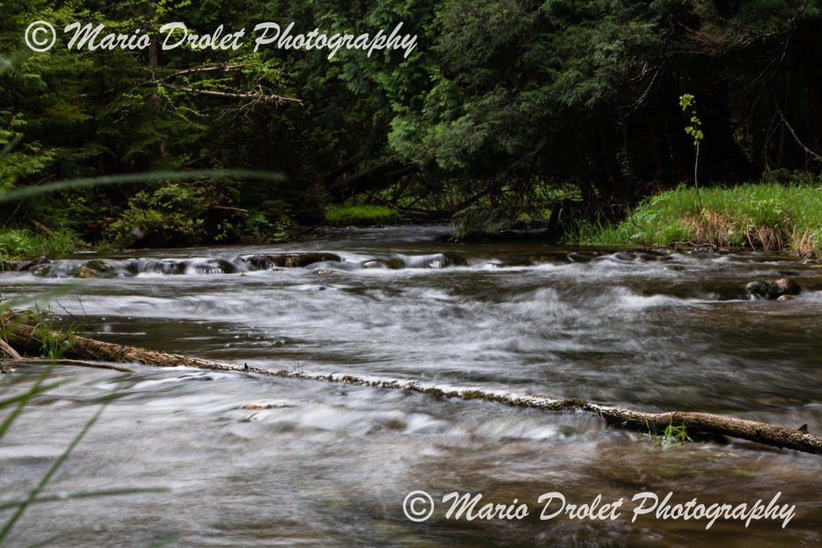 Small creek captured at slow shutter speed