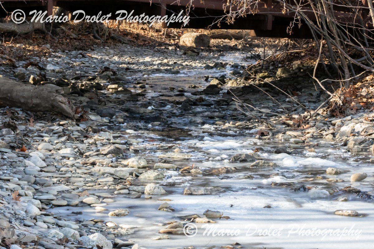 Frozen Sheridan Creek in Rattray Marsh