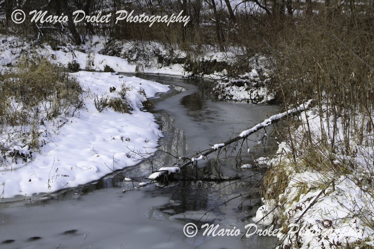 Frozen creek in early winter.

