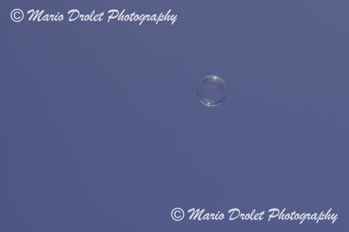 Soap bubbles floating in the sky