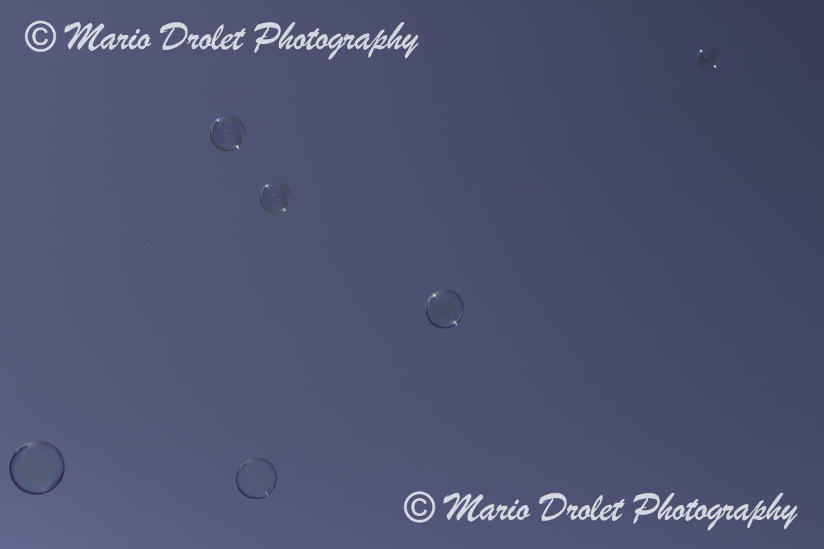 Soap bubbles floating in the sky