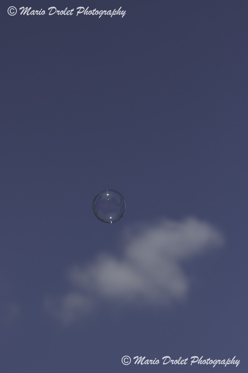 Soap bubbles floating in the sky