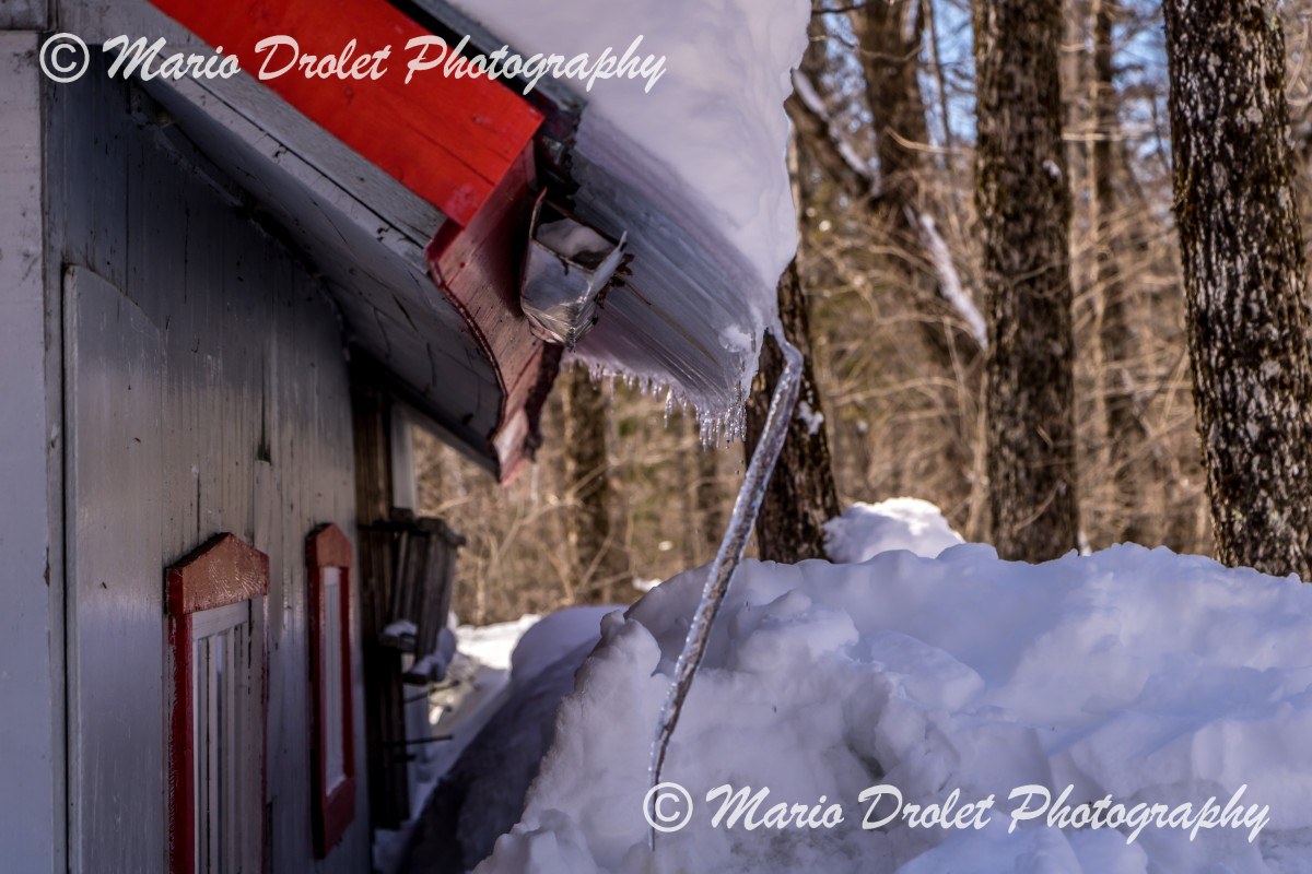 Frozen Snow and Icicle Sliding Off a Roof