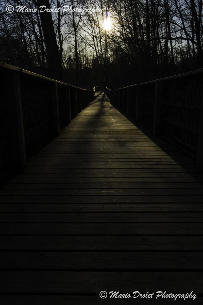 Boardwalk path at sunset with sunflare