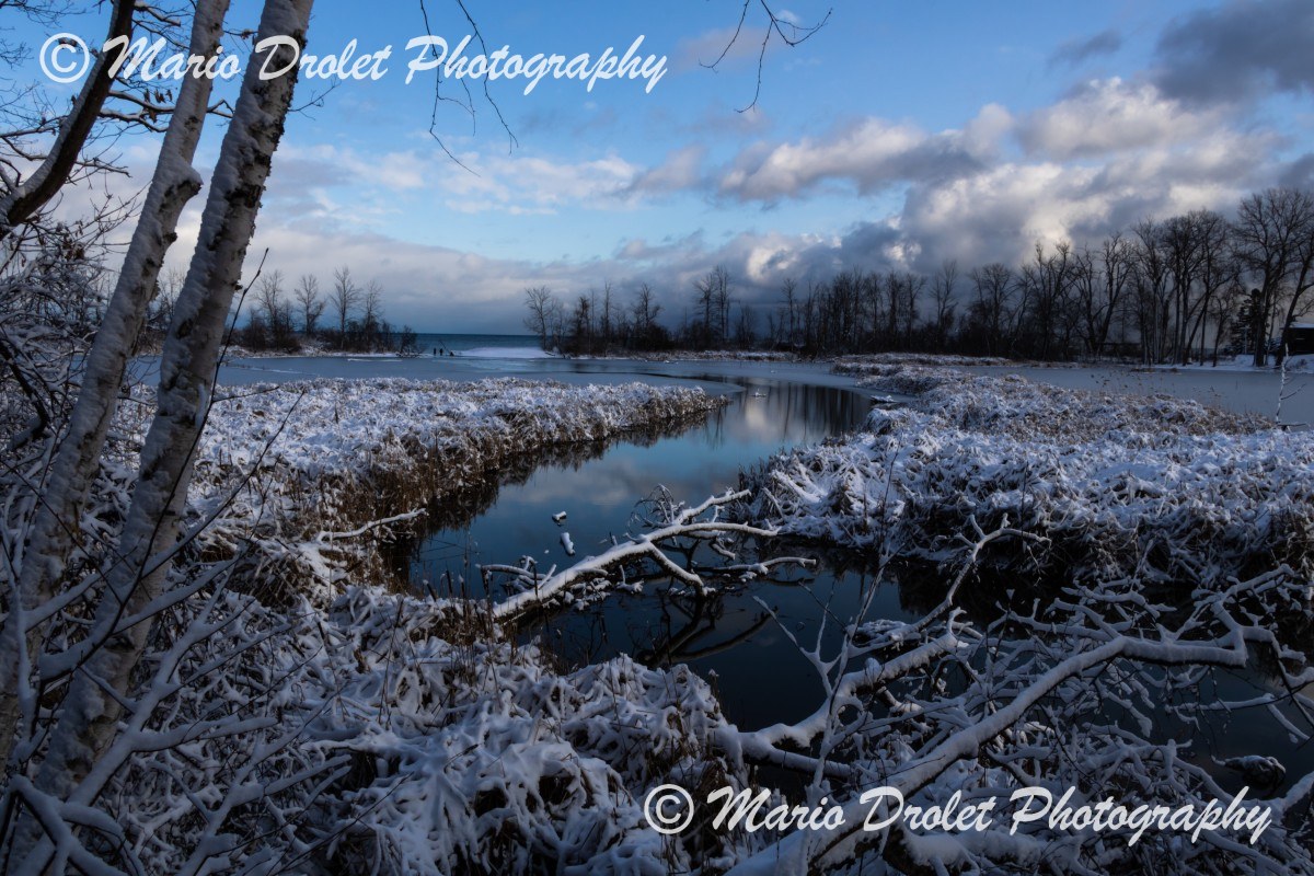 Snowy Rattray Marsh Conservation Area in Mississauga Ontario, Canada