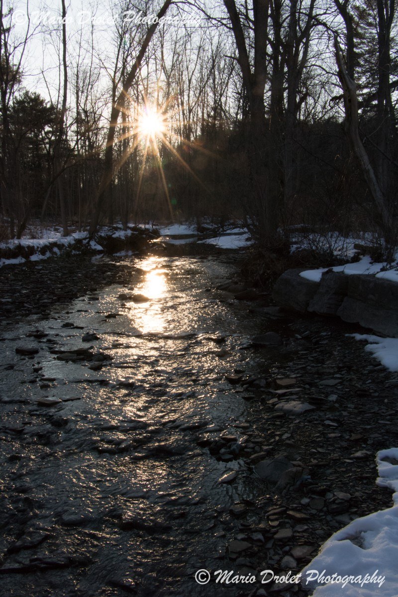 Sunset through the trees over Sheridan Creek