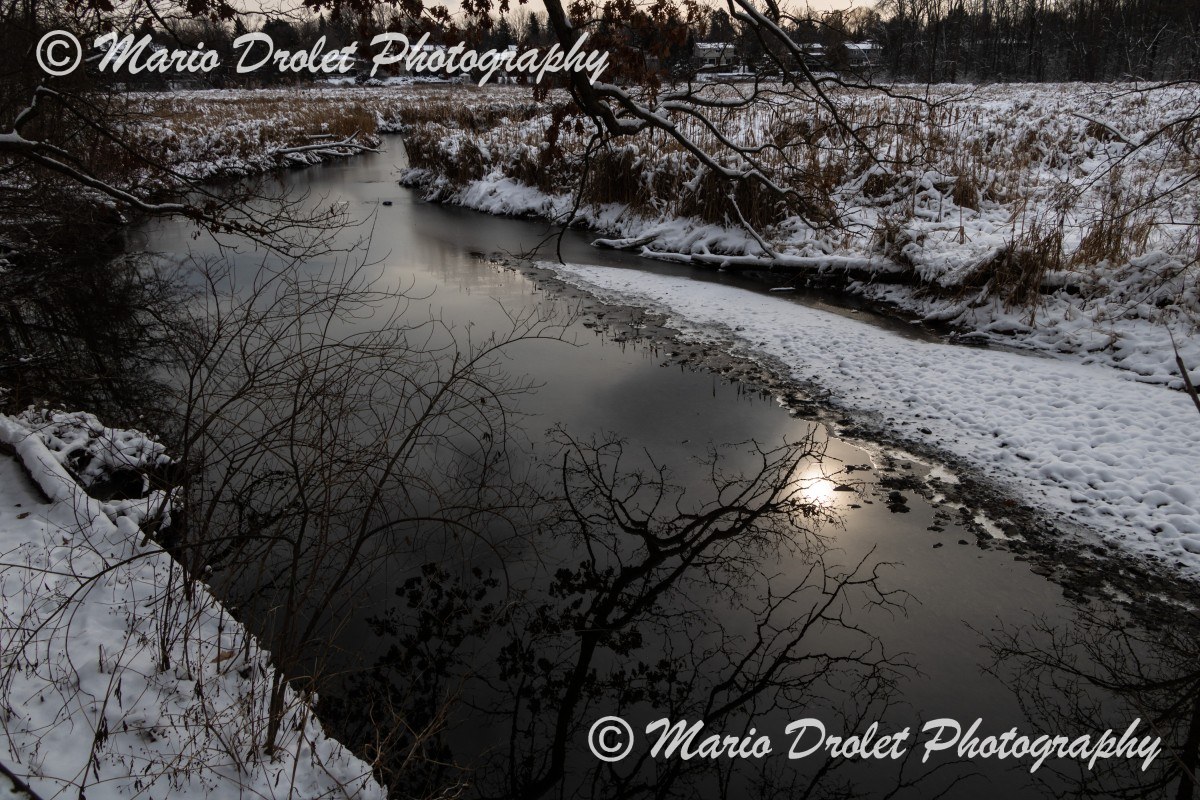 Sun Reflection in Sheridan Creek in Rattray Marsh Conservation Area