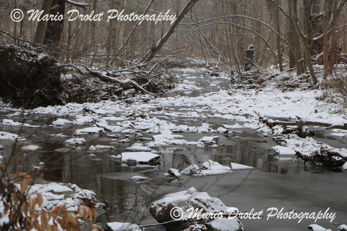Snow covered rocks in Sheridan Creek