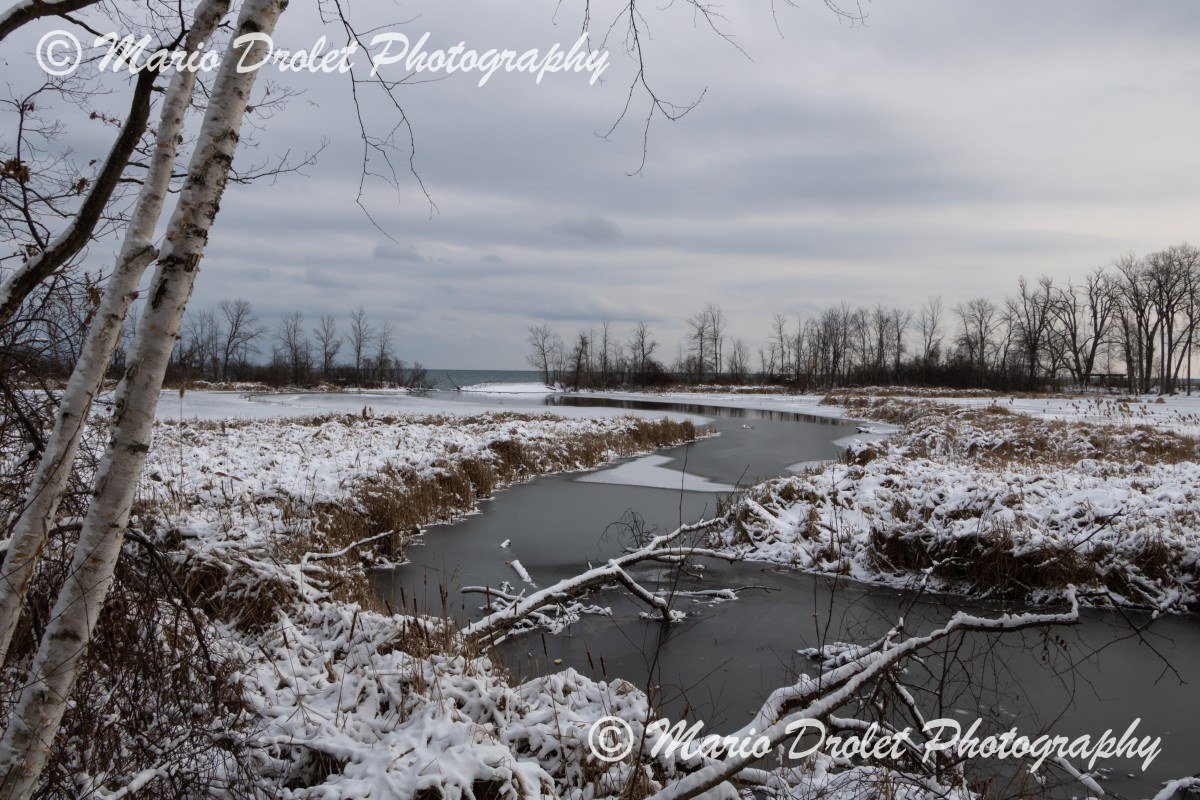 Snowy Rattray Marsh Conservation Area in Mississauga Ontario, Canada