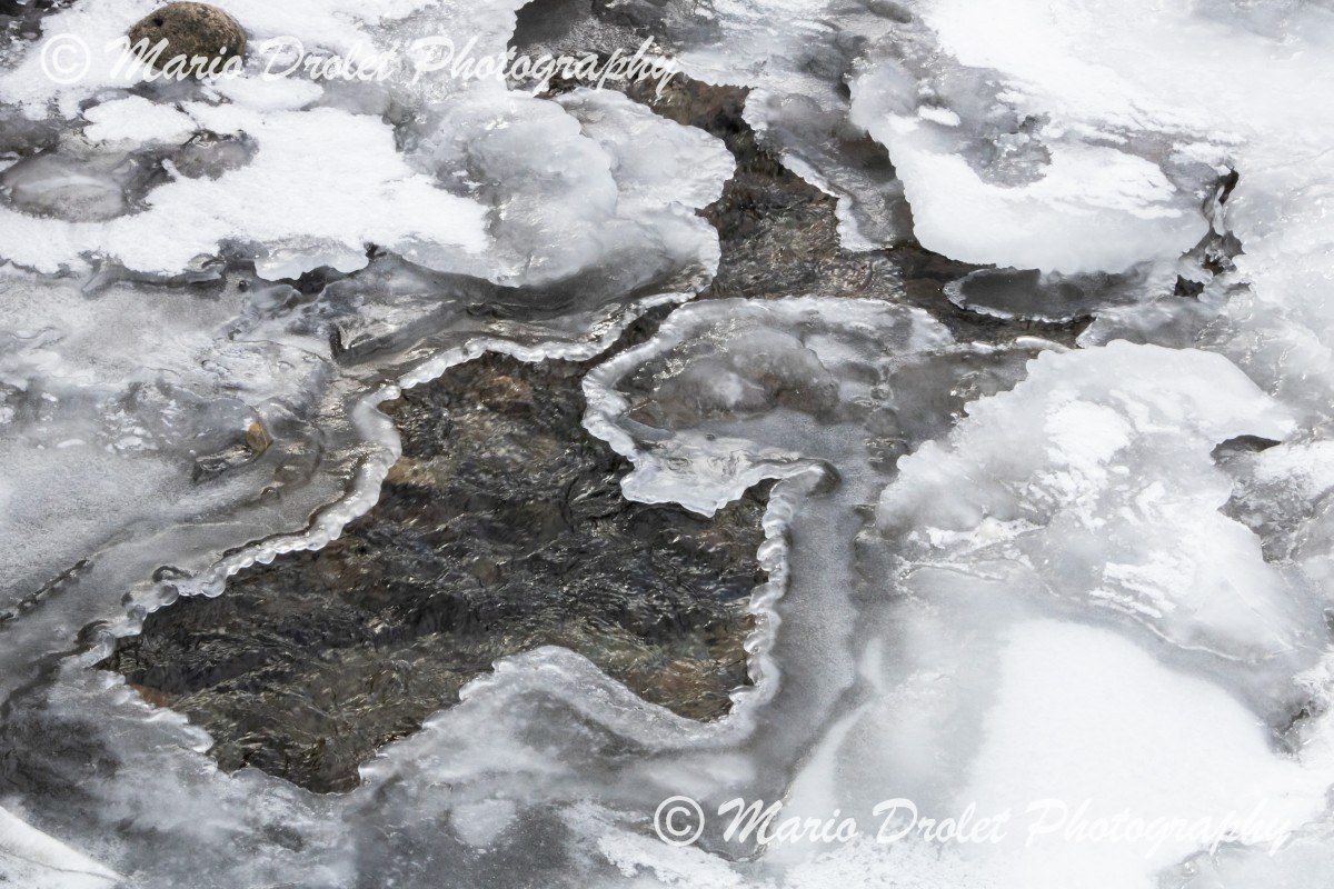 Ice Covered Sheridan Creek in Rattray Marsh