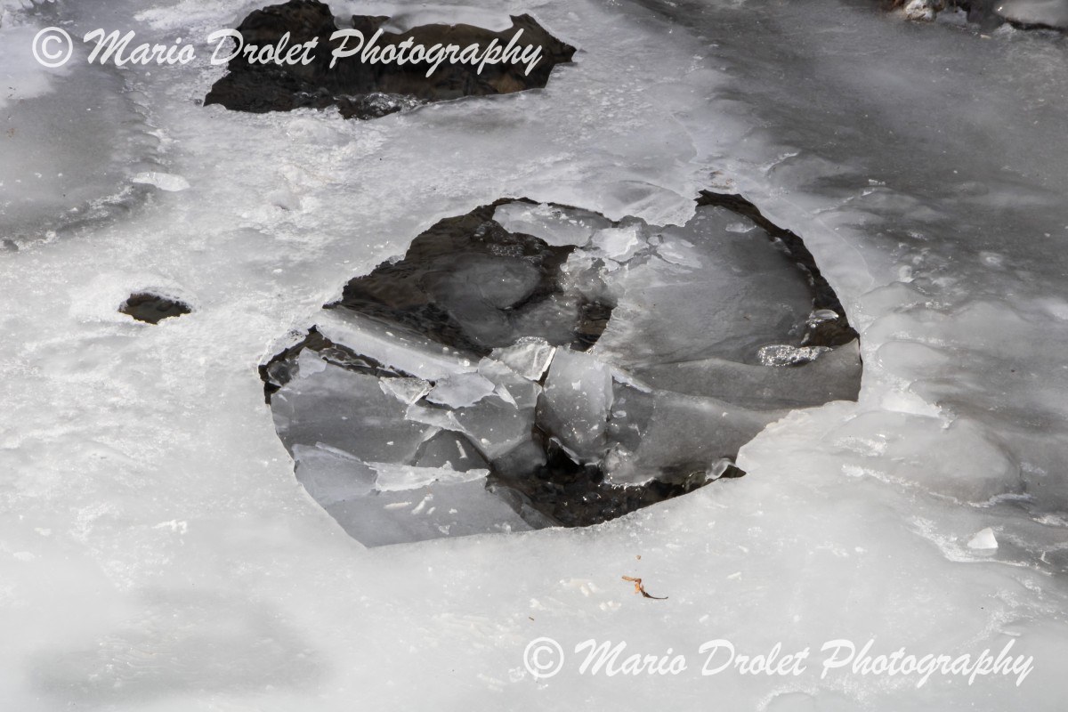 Broken Ice on Sheridan Creek in Rattray Marsh