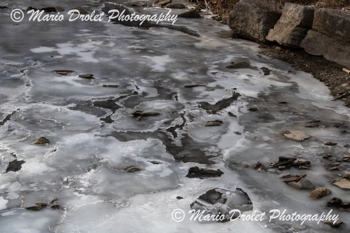 Ice Covered Sheridan Creek in Rattray Marsh