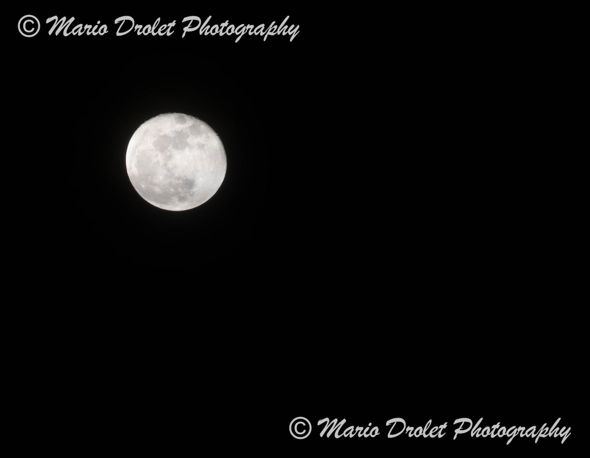 Full moon in clear sky in January

