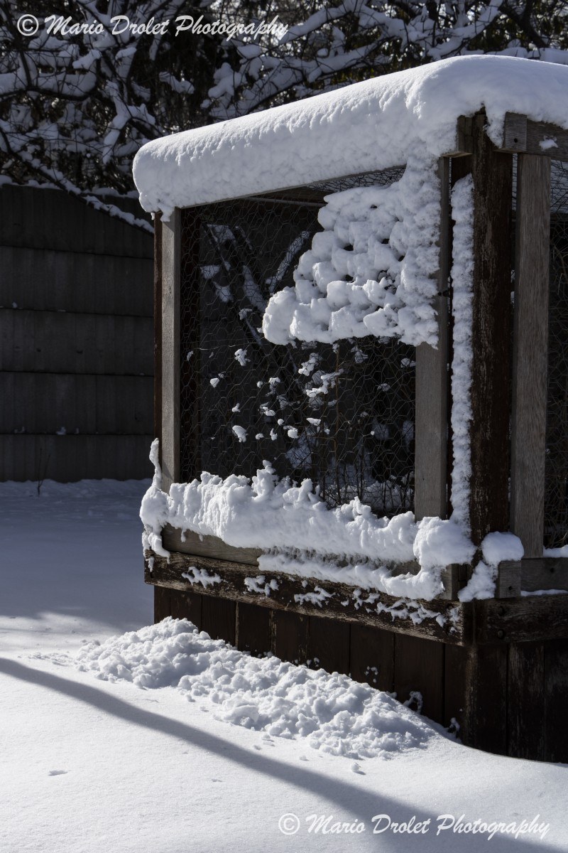Planter box covered with snow