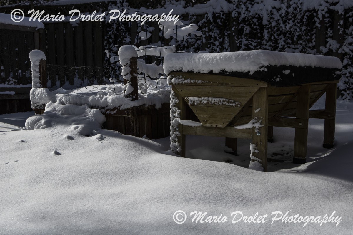 Planter boxes covered with snow