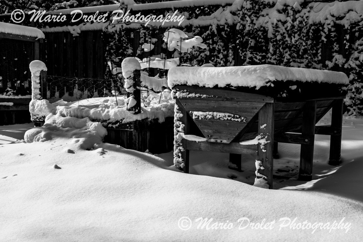 Black and white photo of a planter boxes covered with snow