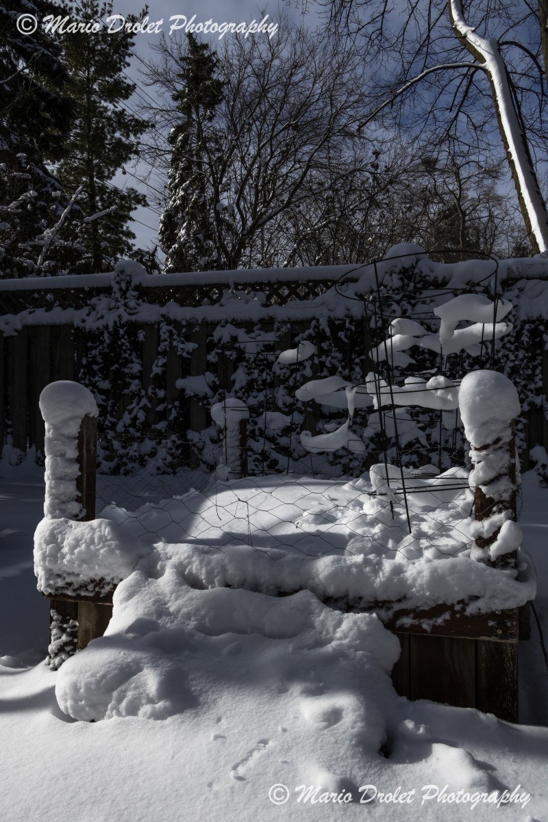 Planter boxes covered with snow