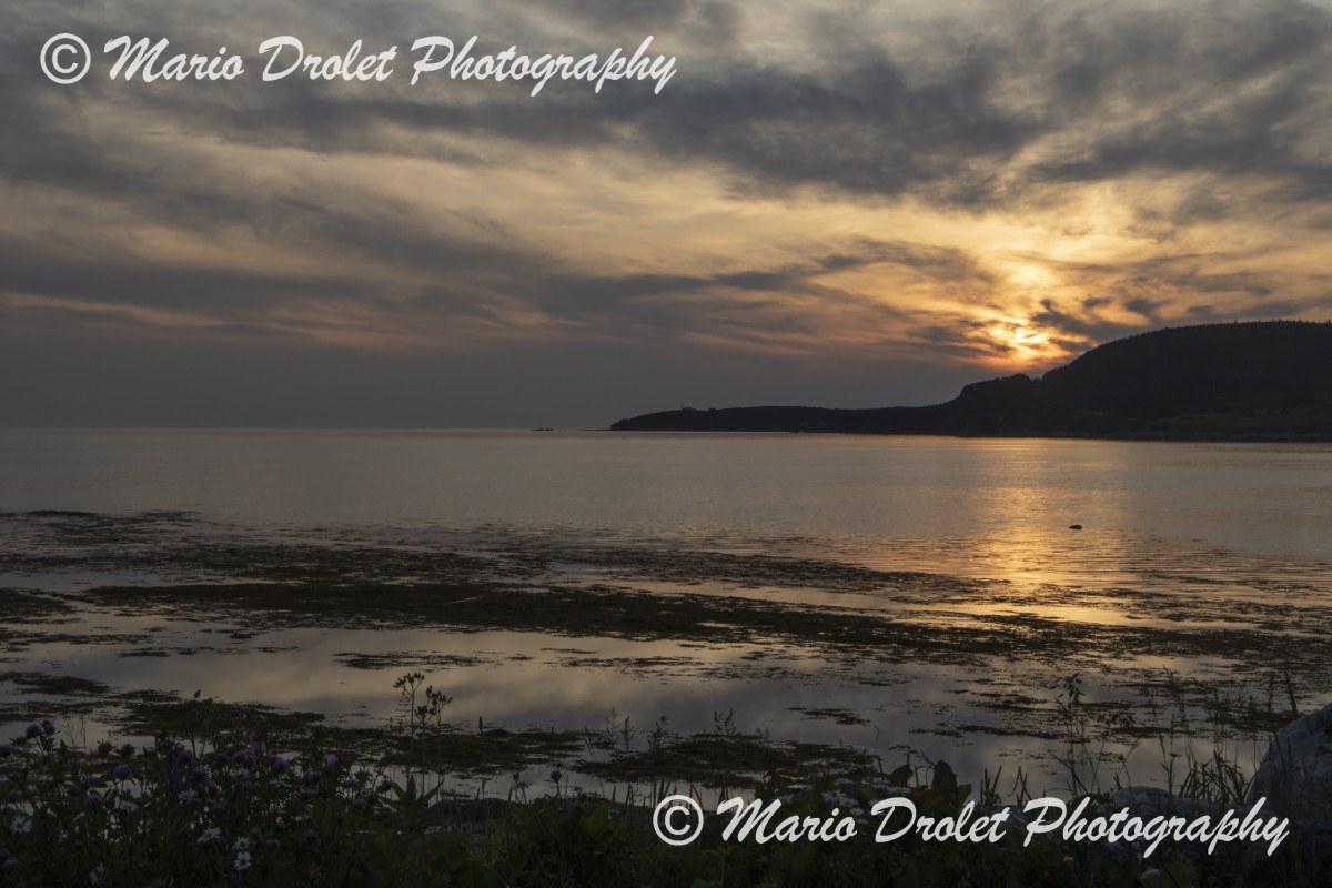 Lobster Cove Head at sunset from Rocky Harbour