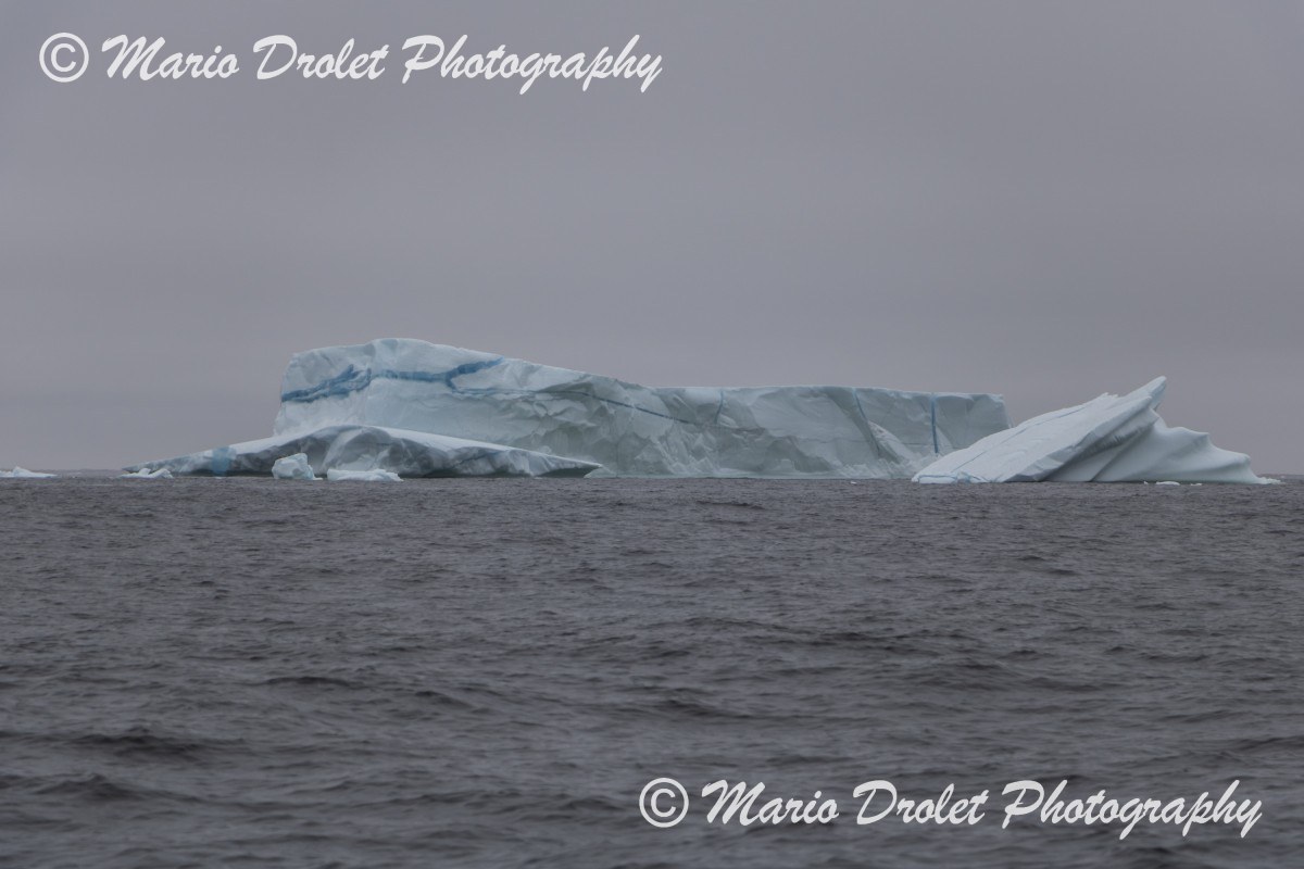Iceberg off the coast of Twillingate, Newfoundland