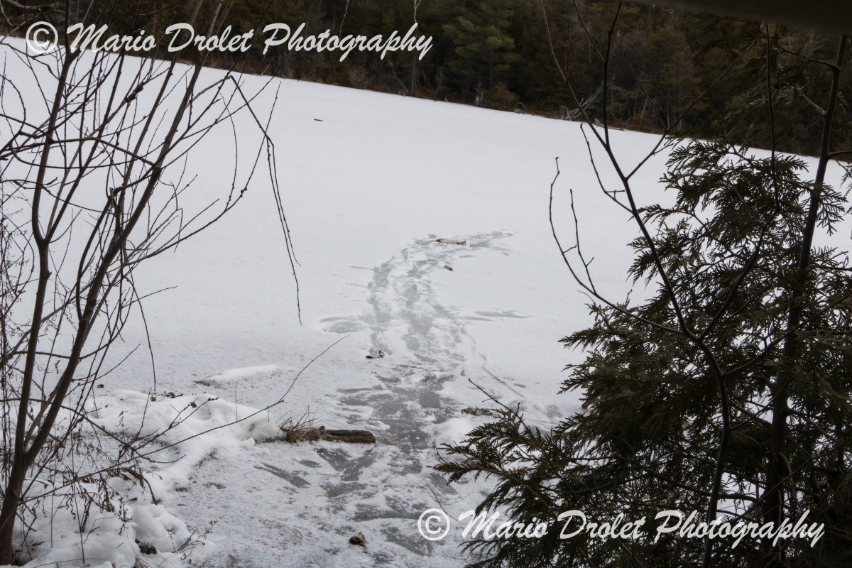 Foot Steps on a Frozen Lake
