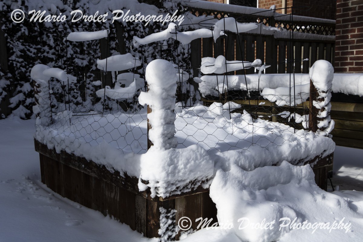 Planter boxes covered with snow