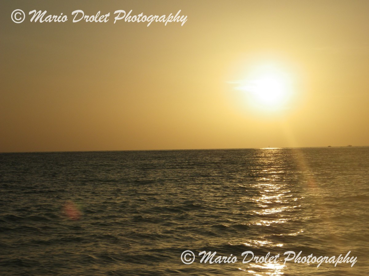 Sunset the Gulf of Mexico, Lido Beach, Florida