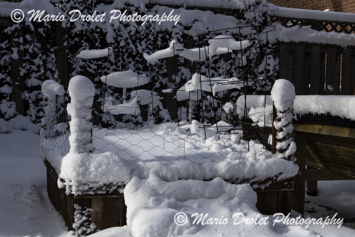 Planter boxes covered with snow