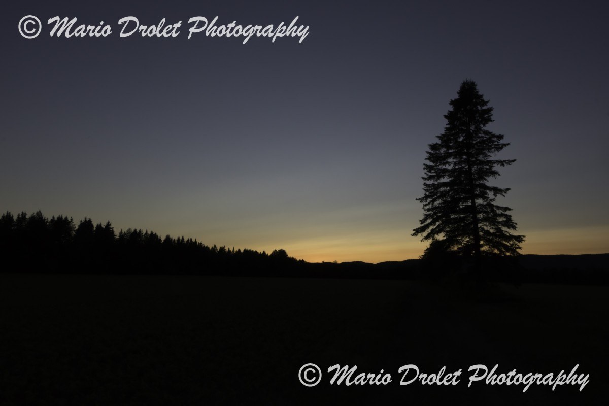 Lonely pine tree silhouette at sunset with colourful sky in Saint Raymond, Quebec, Canada
