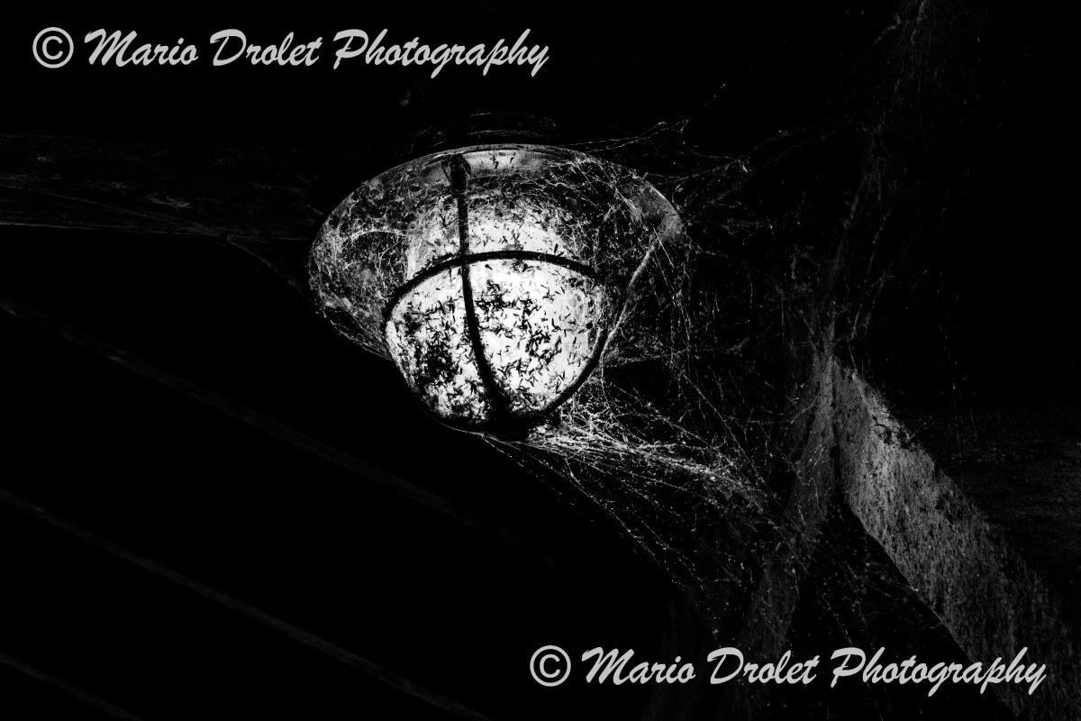 High contrast street lamp with cobwebs
