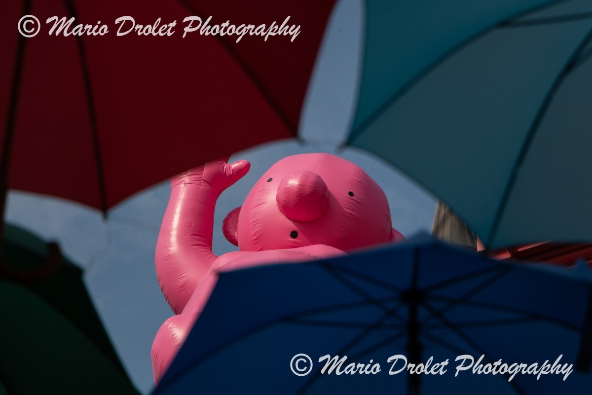 "Le Mignonisme", Quartier Petit Champlain, Quebec